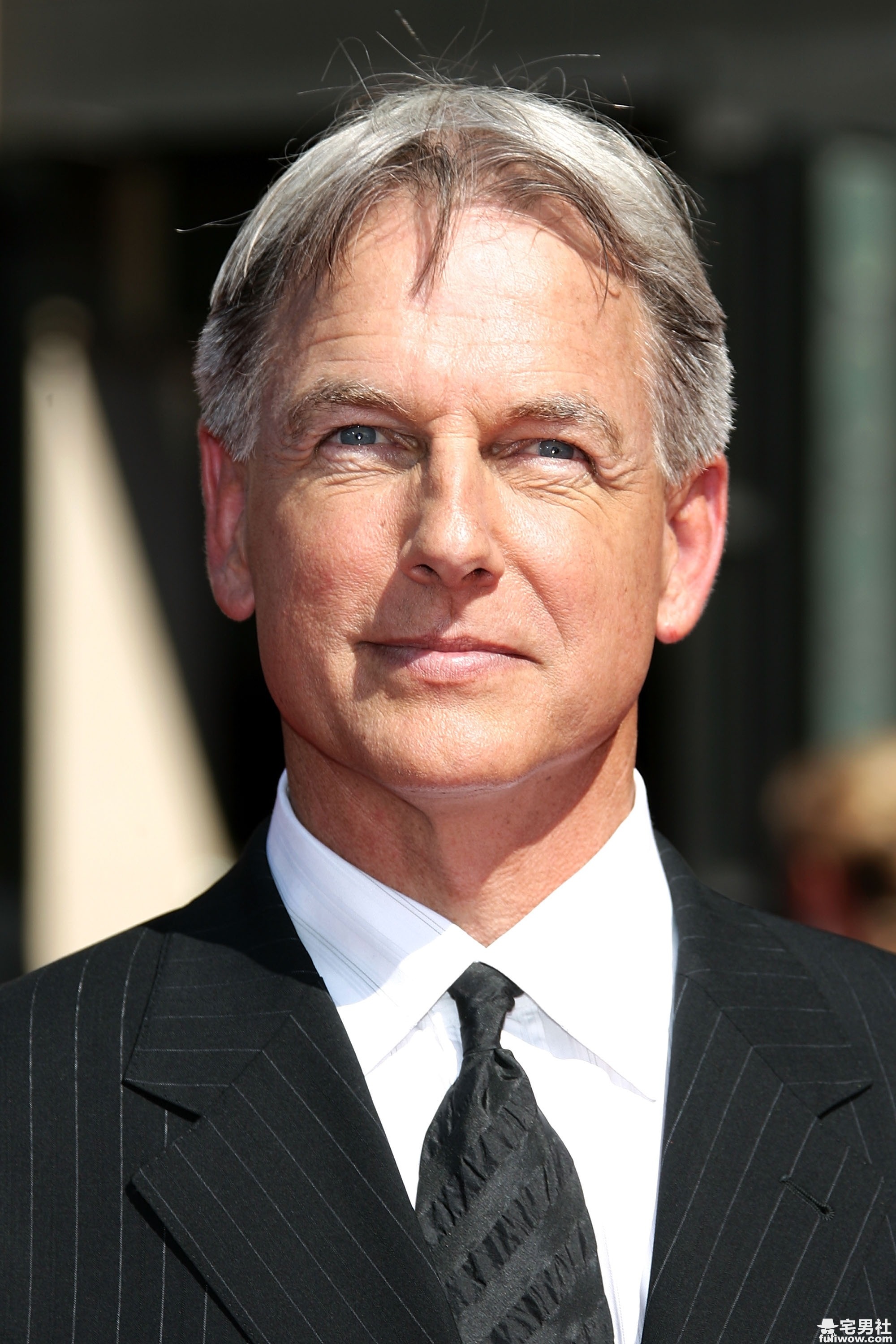 MarkHarmon2.jpg