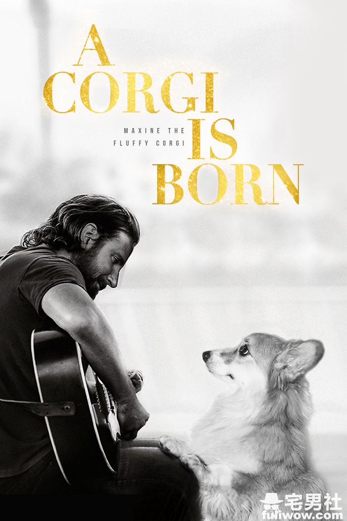 corgi-movie-posters-photoshop-5c73c8a259c15__700.jpg