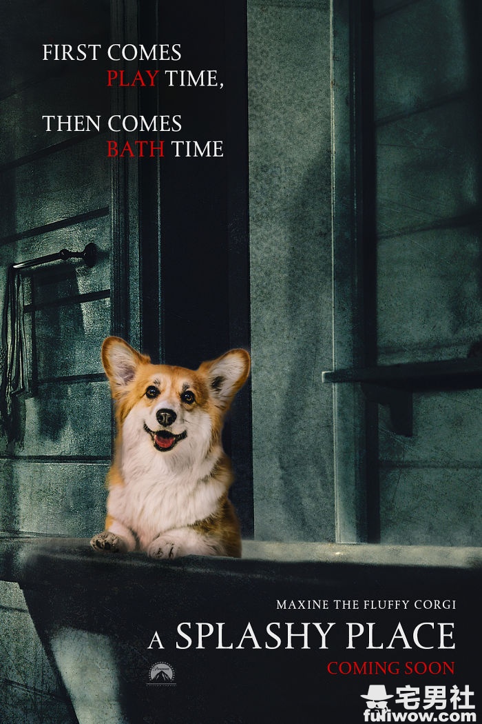 corgi-movie-posters-photoshop-5c73c89fd6c9b__700.jpg