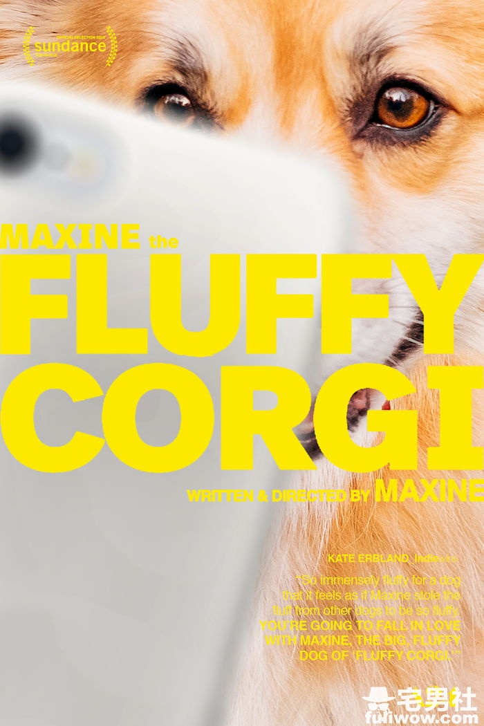 corgi-movie-posters-photoshop-5c73c8b34d005__700.jpg