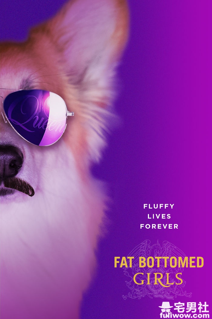 corgi-movie-posters-photoshop-5c73c8bc89476__700.jpg