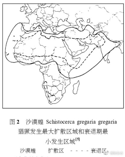 沙漠蝗灾真的结束了吗？非洲蝗灾的蝗虫长啥样？