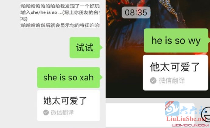 微信新玩法“输入she is so”火了-伊美舍