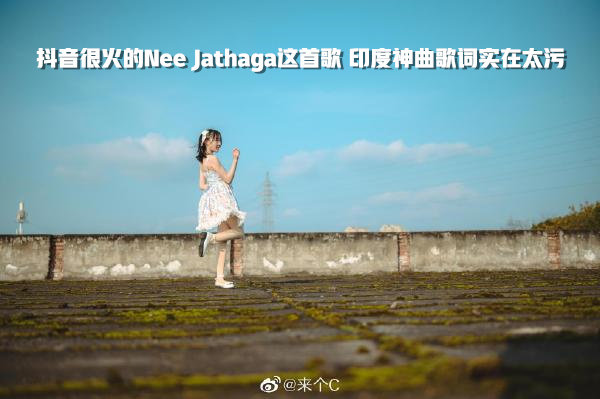 (Nee Jathaga)抖音很火的歌 你知道歌词到底有多污吗？-伊美舍